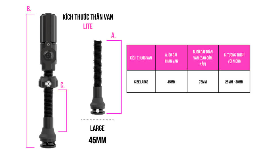 Bộ Van Vỏ Không Ruột Lite Big Bore Lite Valve Kit - Hình ảnh 7